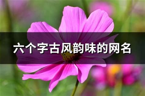 名字是六個字|六个字古风韵味的网名 (共940个)